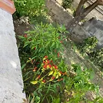 Vista Stromboli 4* パオラ